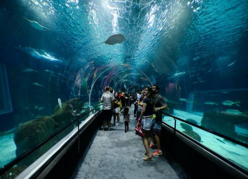 Recorrido fotografico privado para niños, incluido Lagoa Aventura. Ro de Janeiro, BRASIL