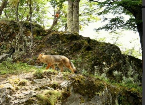 Combo de 4 actividades en El Calafate y Ushuaia. El Calafate, ARGENTINA