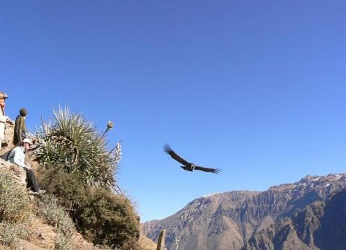 Cañon del Colca y Puno desde Arequipa. Arequipa, PERU