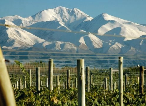 Tour del Vino Valle de Uco, Mendoza. Mendoza, ARGENTINA